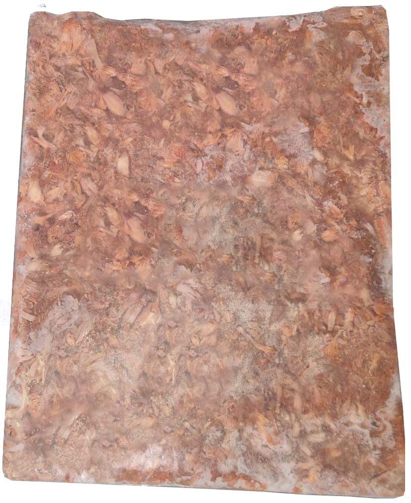 Jackfruit - trhané VEGGIE maso MRAŽENÉ 2kg - expirace 10.12.2025